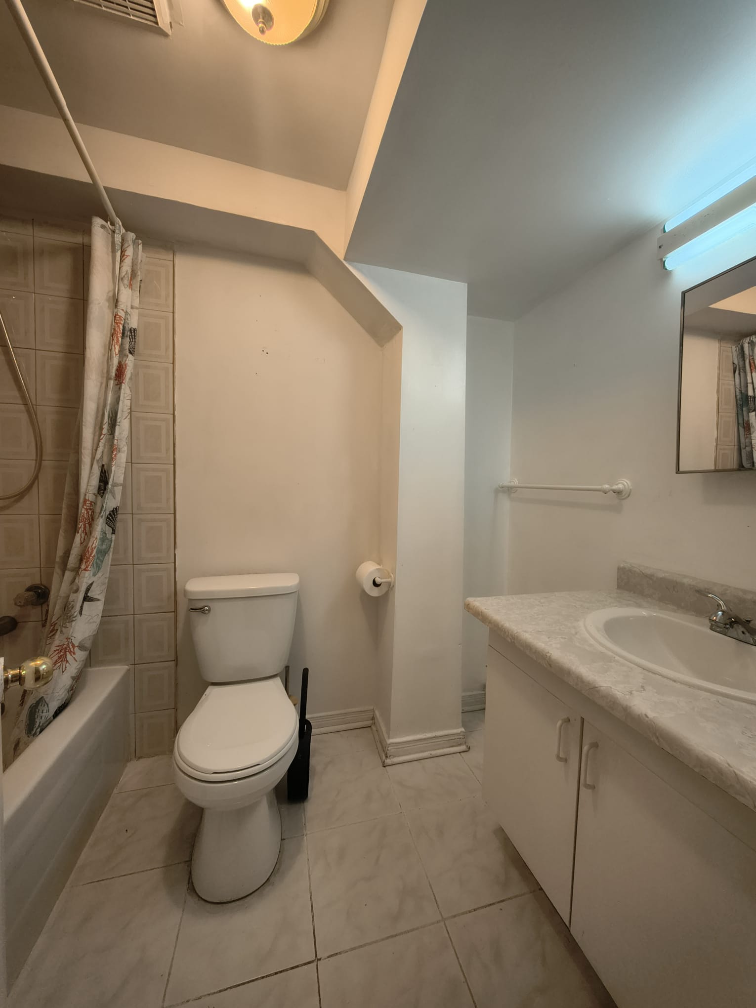 Basement in Brampton