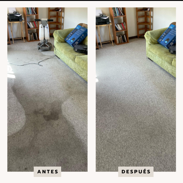 Devolvemos la frescura a tus Alfombras y Sofas