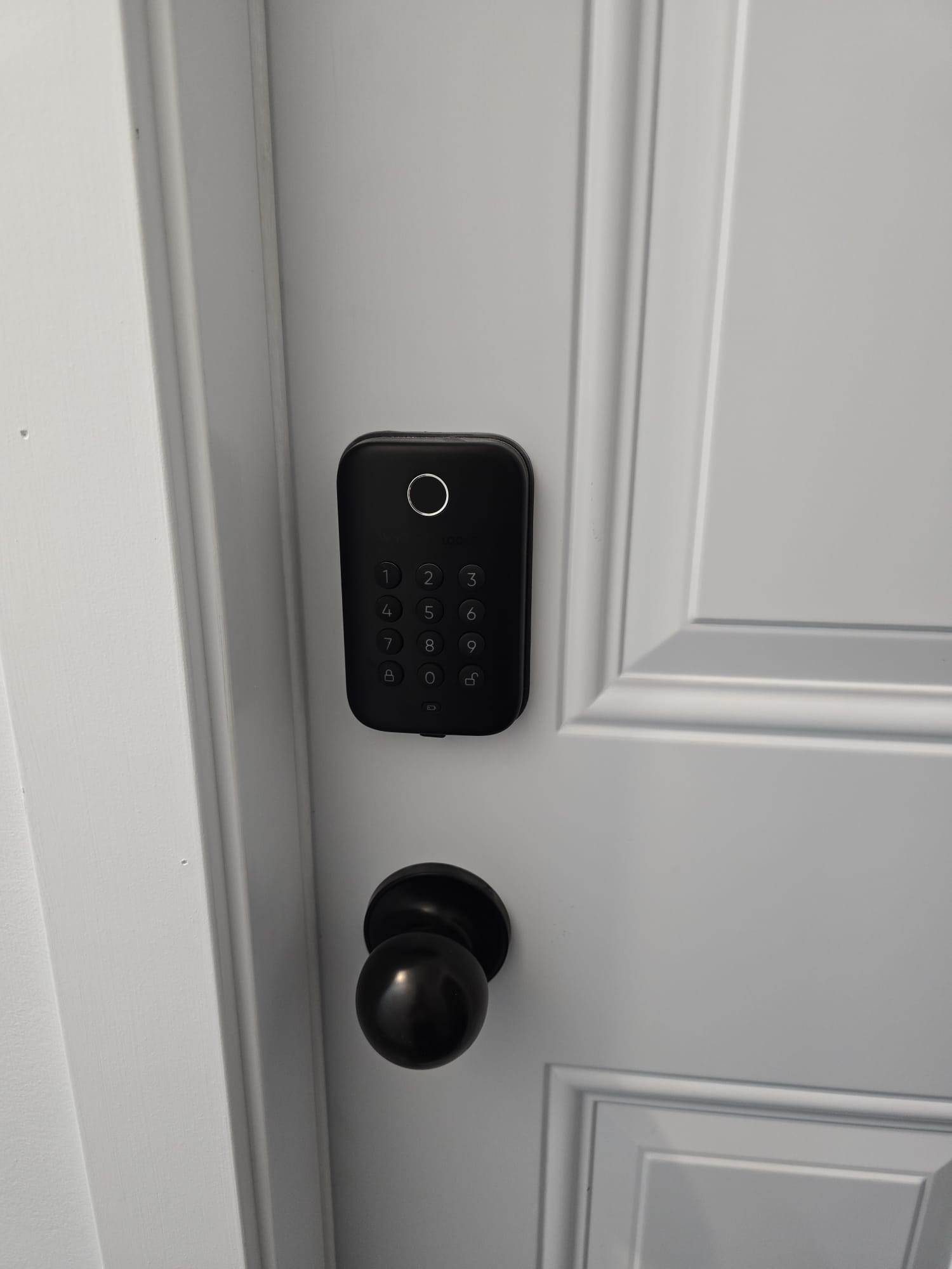 RENTO APARTAMENTO-WESTON Y BLACK CREEK