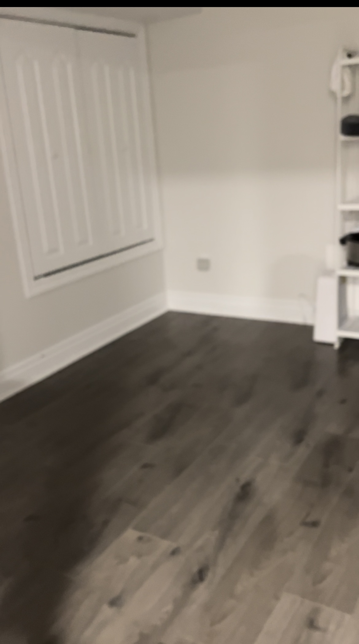 Basement for rent