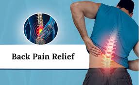 Catalina Farms CBD Gummies Review 2026: Do They Really Work?