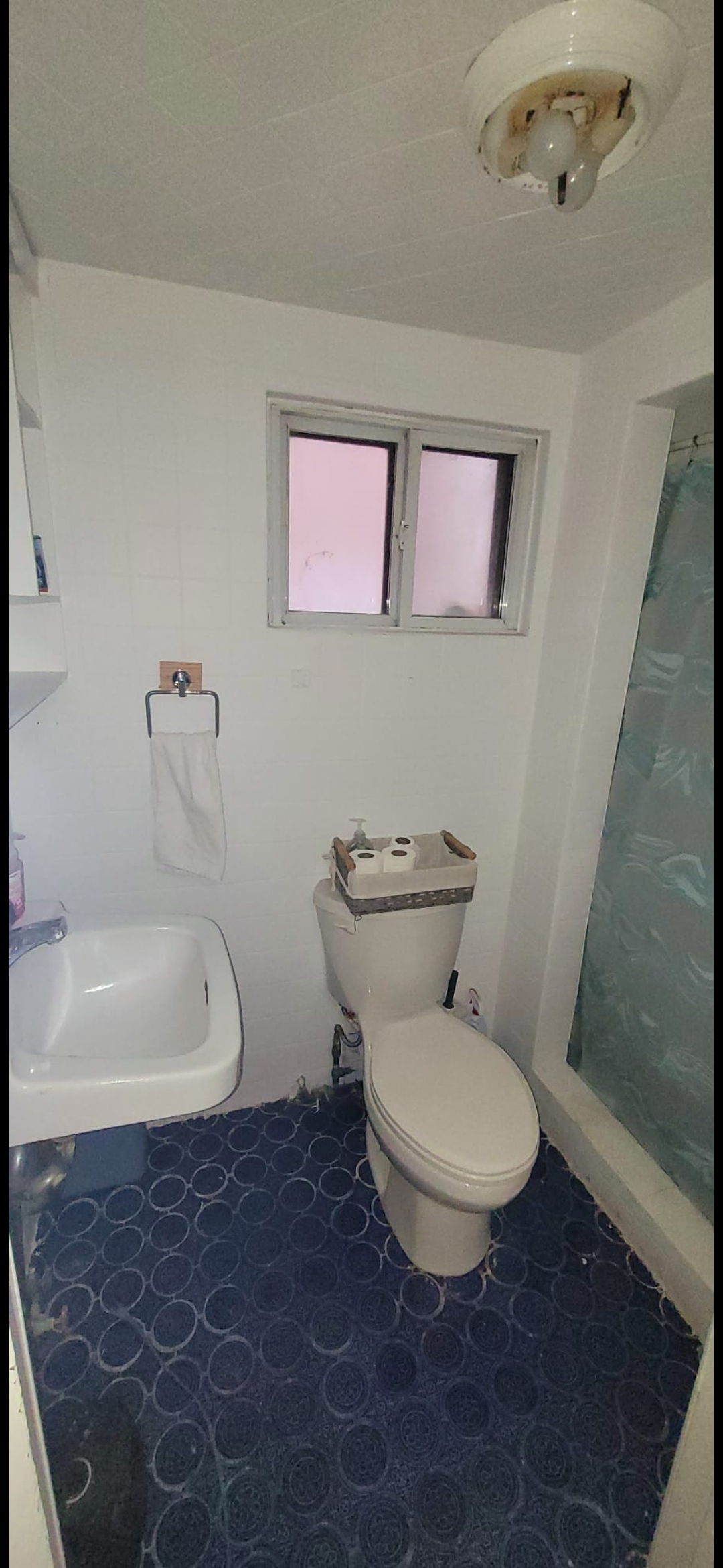 Basement apartment for rent