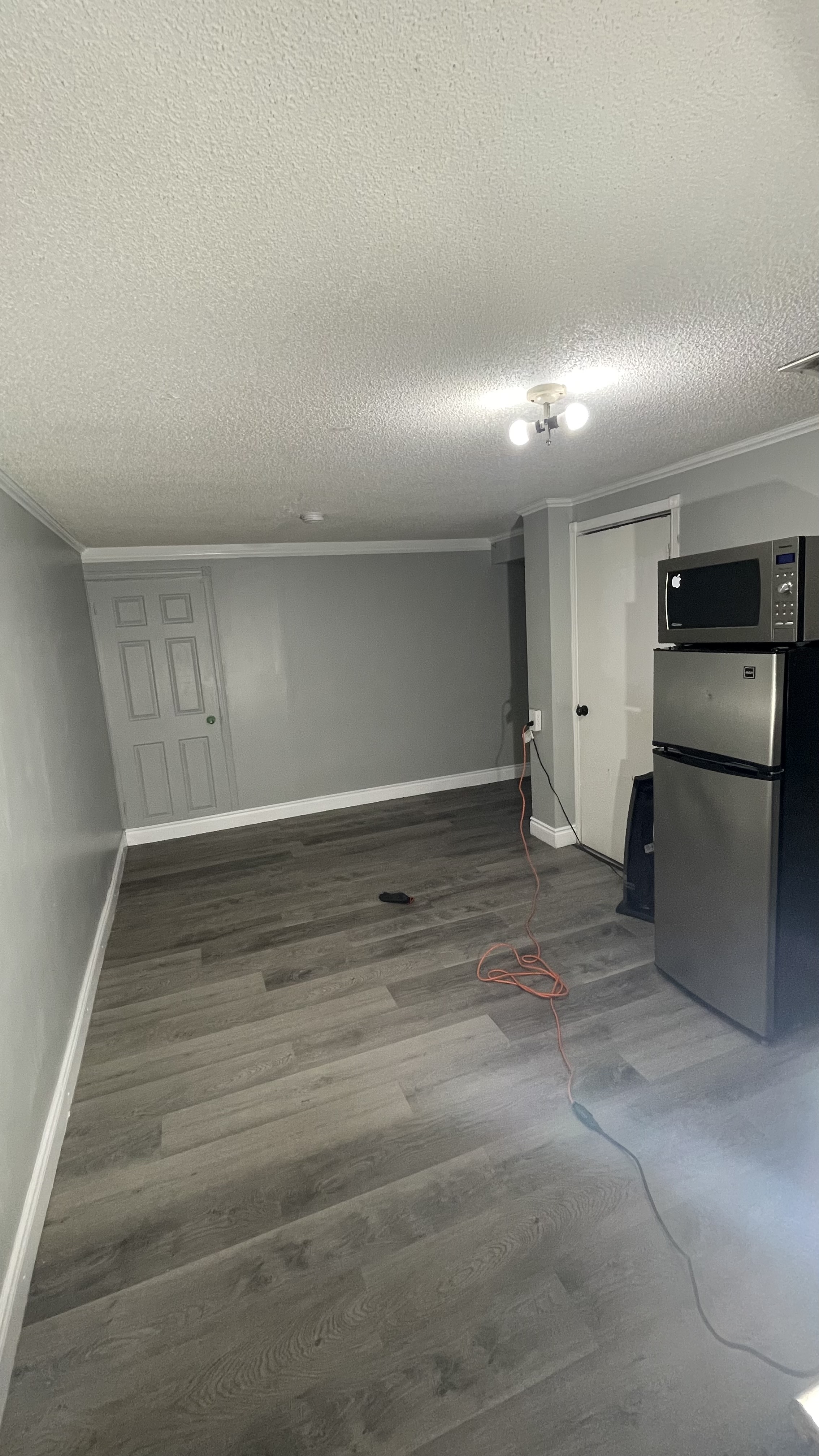Bachelor en basement