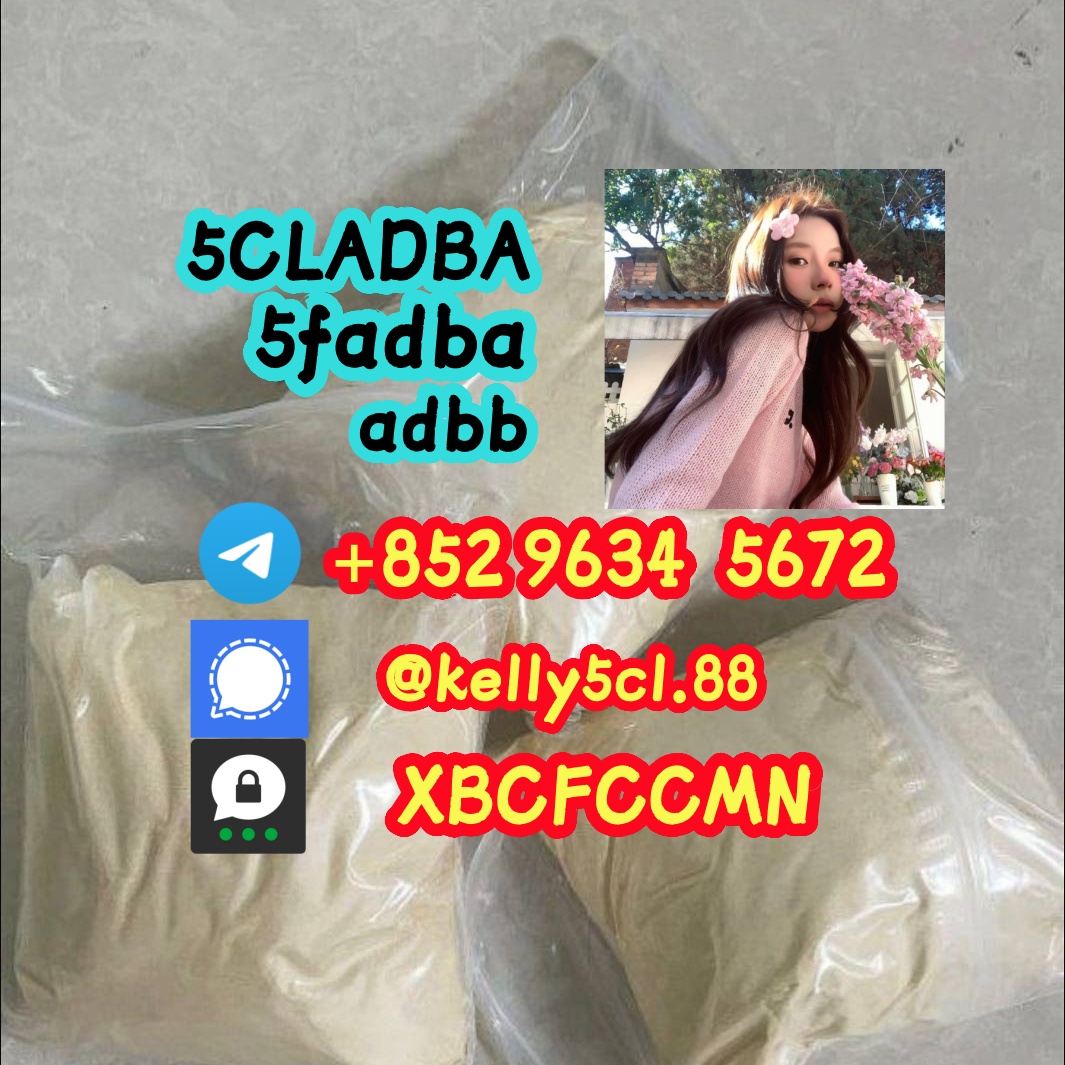 cas-137350-66-4-5cladb-5cl-adb-a-5cladba-factory-supply