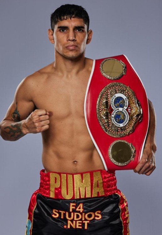 EL PUMA RUMBO A LA HISTORIA